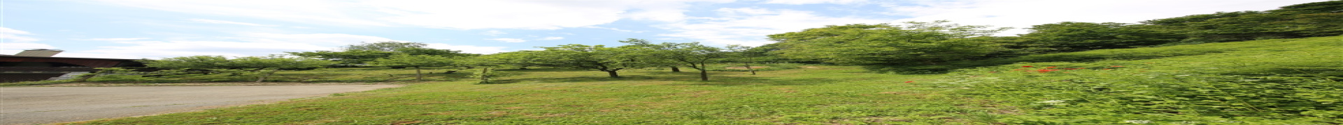 Slovenija, ,Parcela,PRODAJA,1842