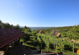 Slovenija, ,Vikend,PRODAJA,1904