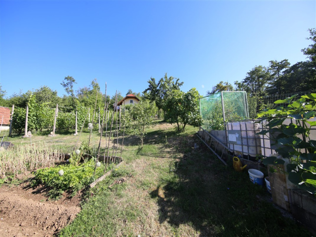 Slovenija, ,Vikend,PRODAJA,1904