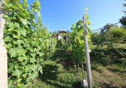 Slovenija, ,Vikend,PRODAJA,1904