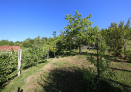 Slovenija, ,Vikend,PRODAJA,1904