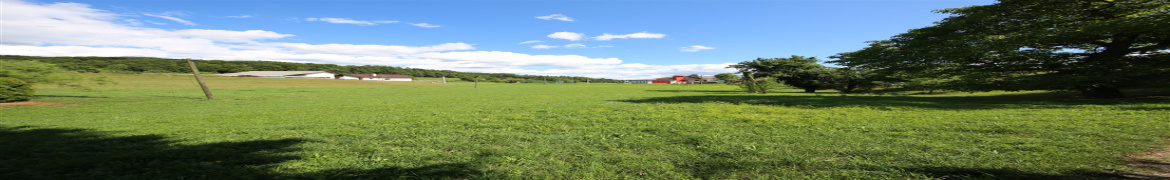 Slovenija, ,Parcela,PRODAJA,1905