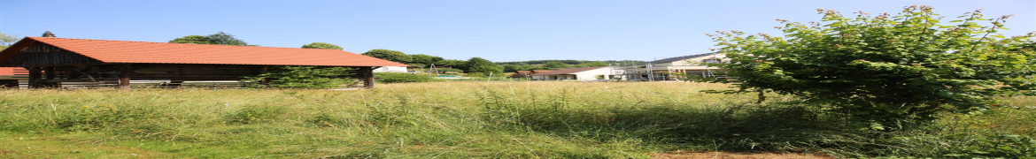 Slovenija, ,Parcela,PRODAJA,1906