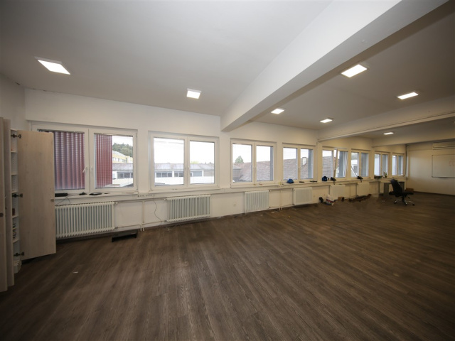 Slovenija, ,Poslovni prostor,ODDAJA,1908