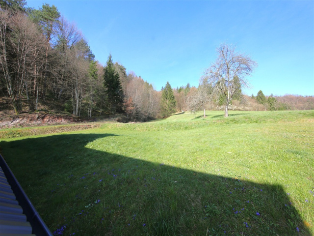 Slovenija, 0 , 0 ,0,Hiša,PRODAJA,0,1914